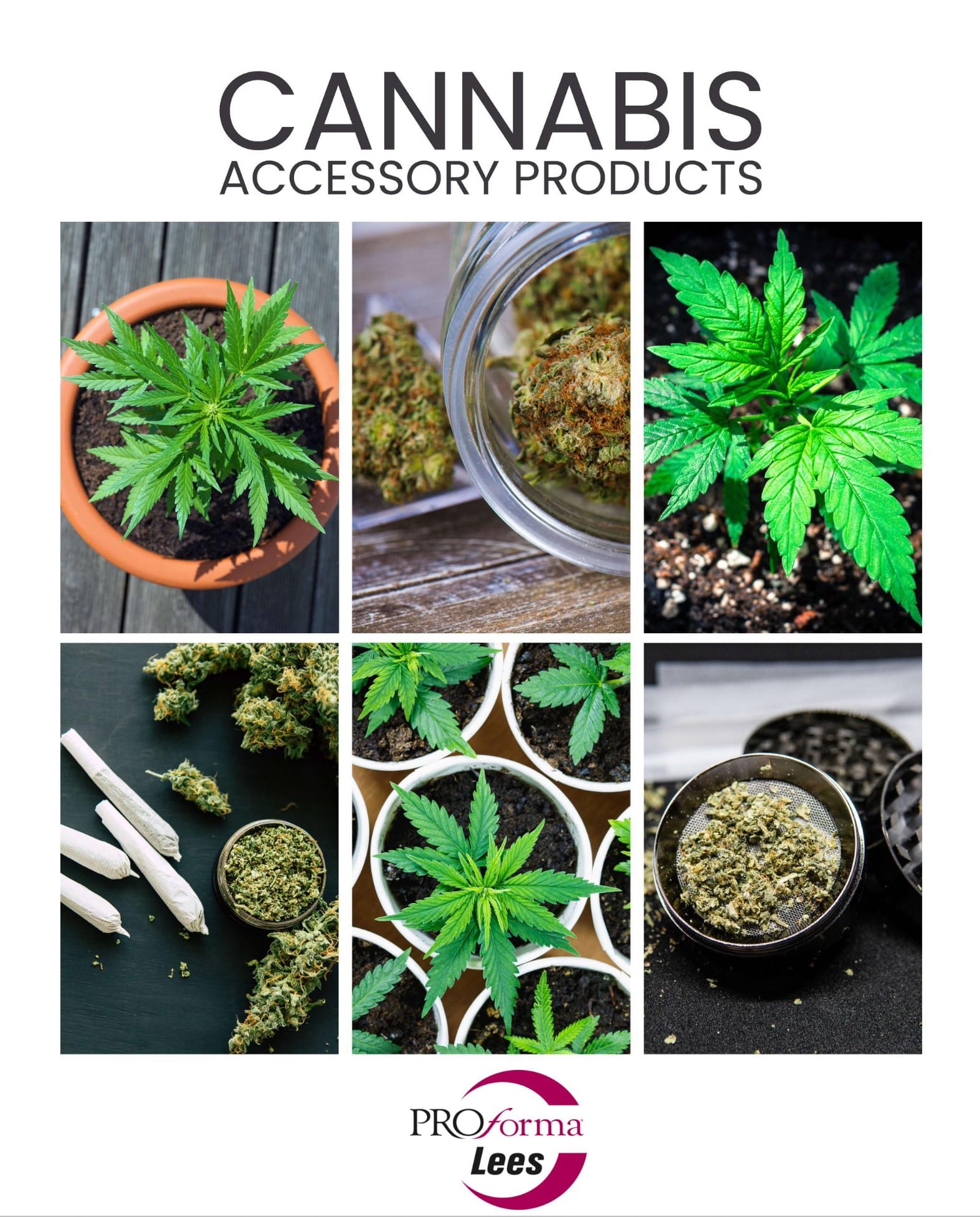 Cannabis 2024 Catalog